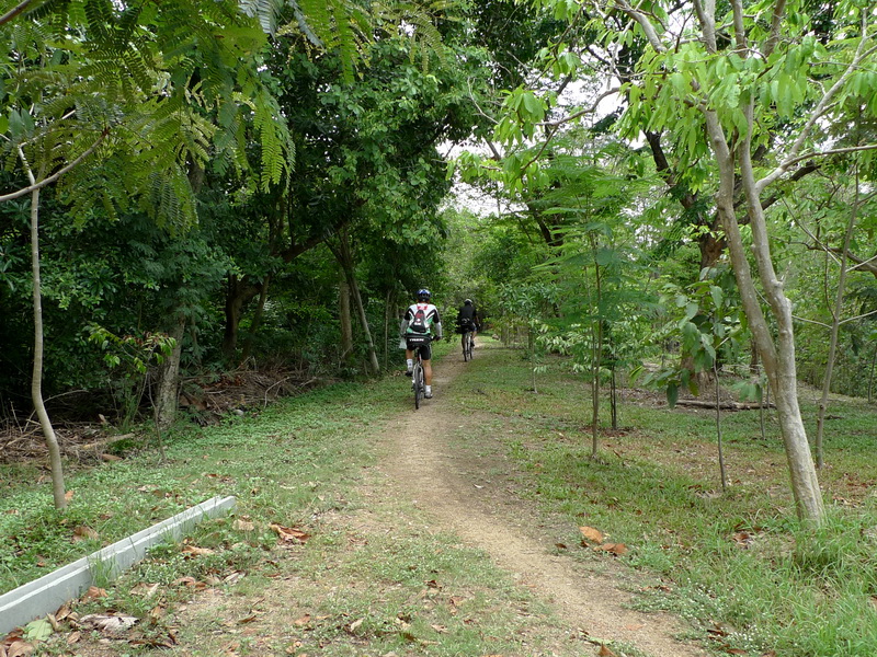 P1260002.JPG