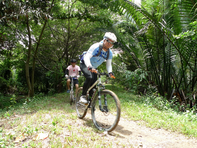 P1260025.JPG
