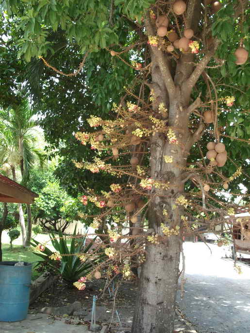 DSCF5900.JPG