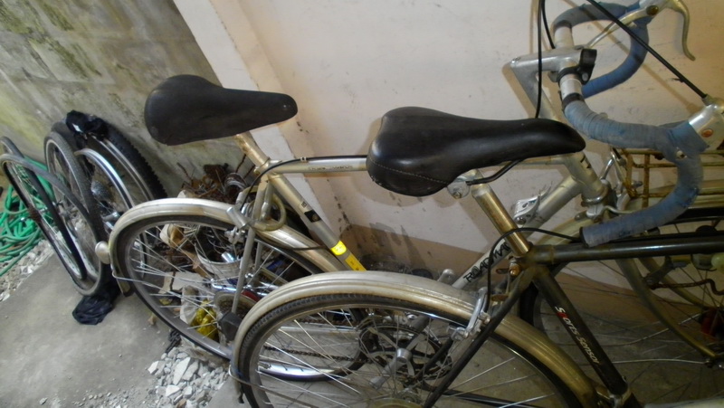 SANY3100.jpg