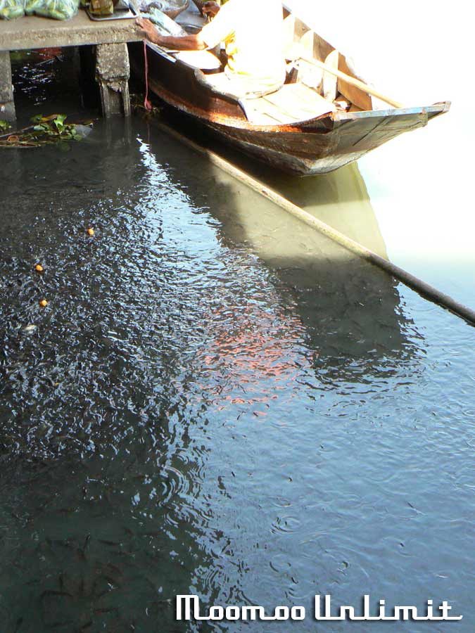lowers_P1110910.jpg