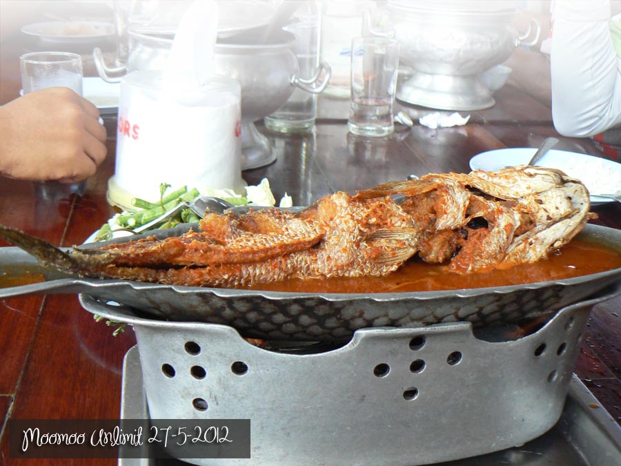 lowres_P1110982.jpg