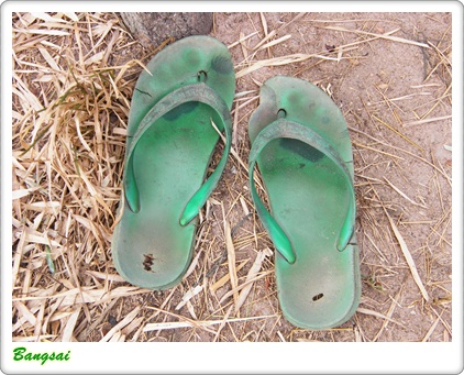 slipper01.jpg
