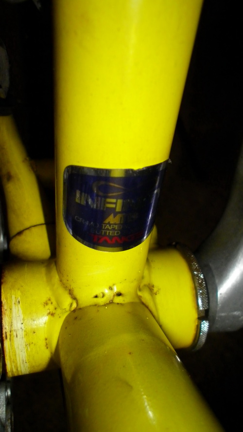 SANY3205.jpg