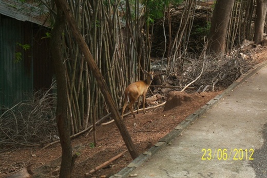 100_0387.JPG