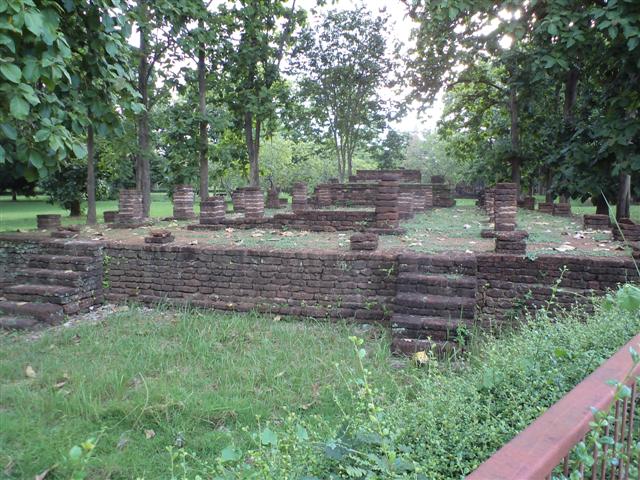 DSC01513 (Small).JPG