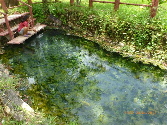 P1050632 (Small).JPG