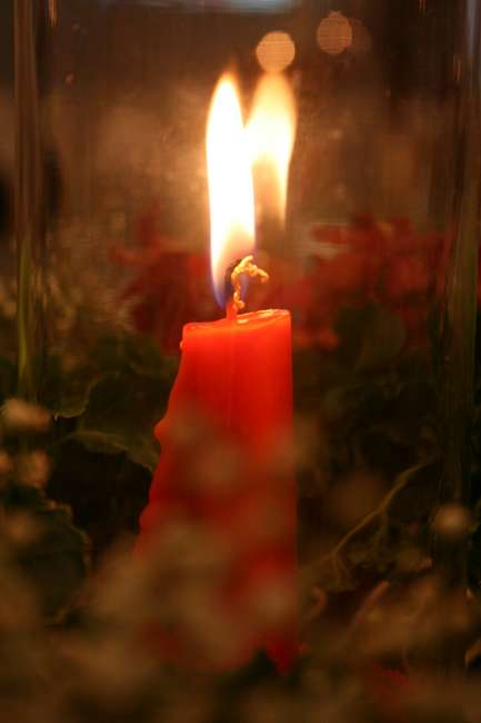 IMG_5325.jpg