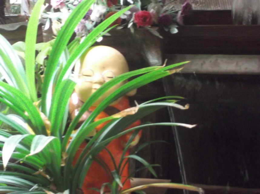 DSCF6820.JPG
