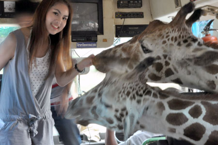 00431_safari-park-kanchanaburi.jpg