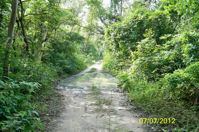 100_4860.JPG