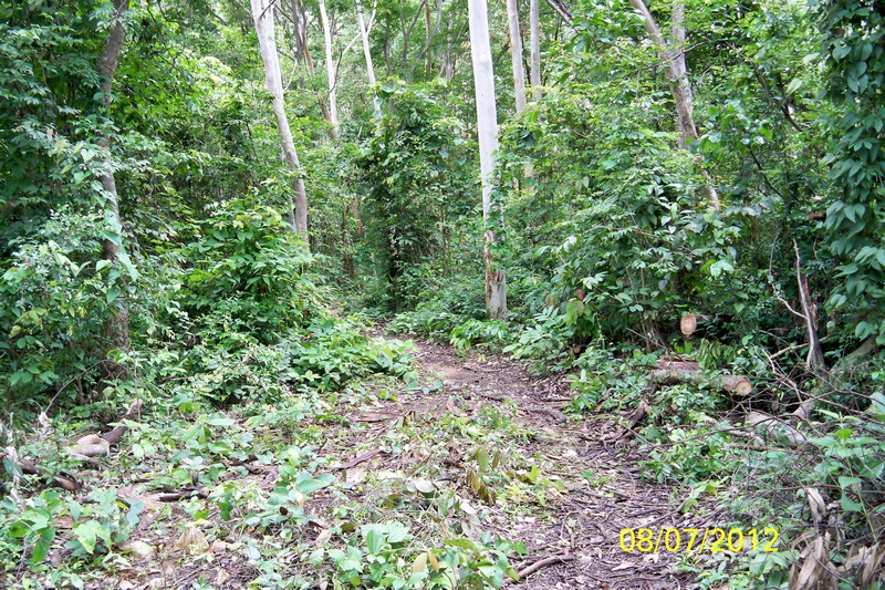 100_4877.JPG