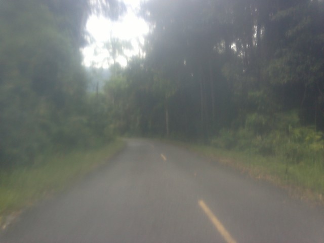 080720122781.jpg