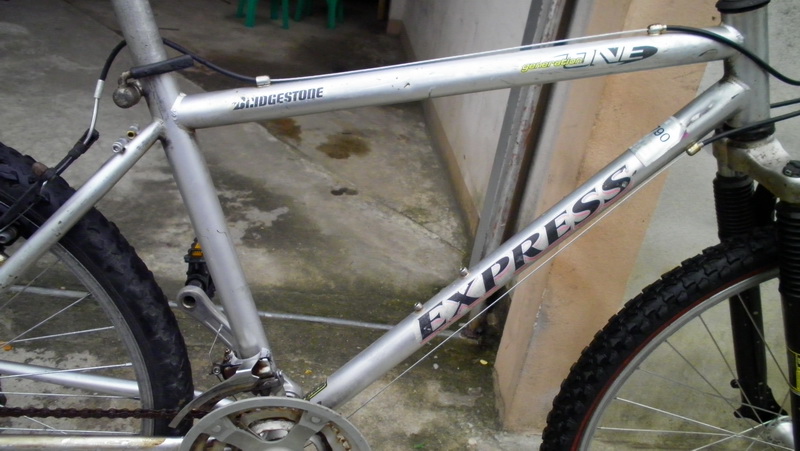 SANY3317.jpg
