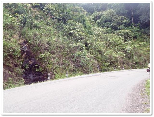 123ลดเลี้ยว (Medium) (Small).JPG
