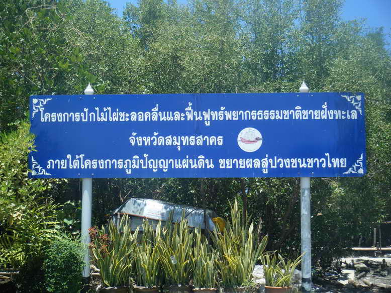 DSCF0245.JPG