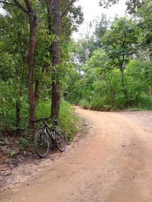 2012-08-01 11.55.08.jpg
