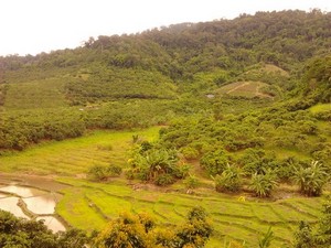 2012-08-01 12.34.11.jpg