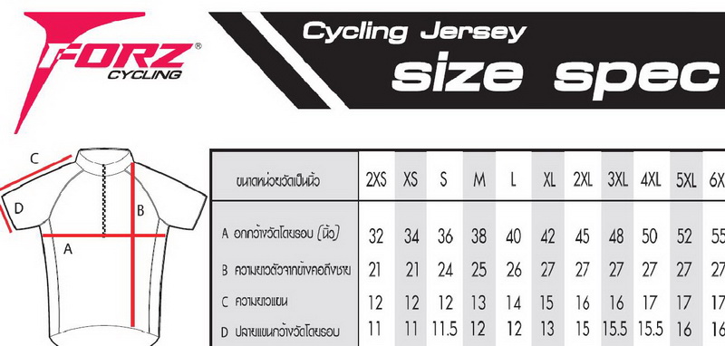 Forz_size.JPG