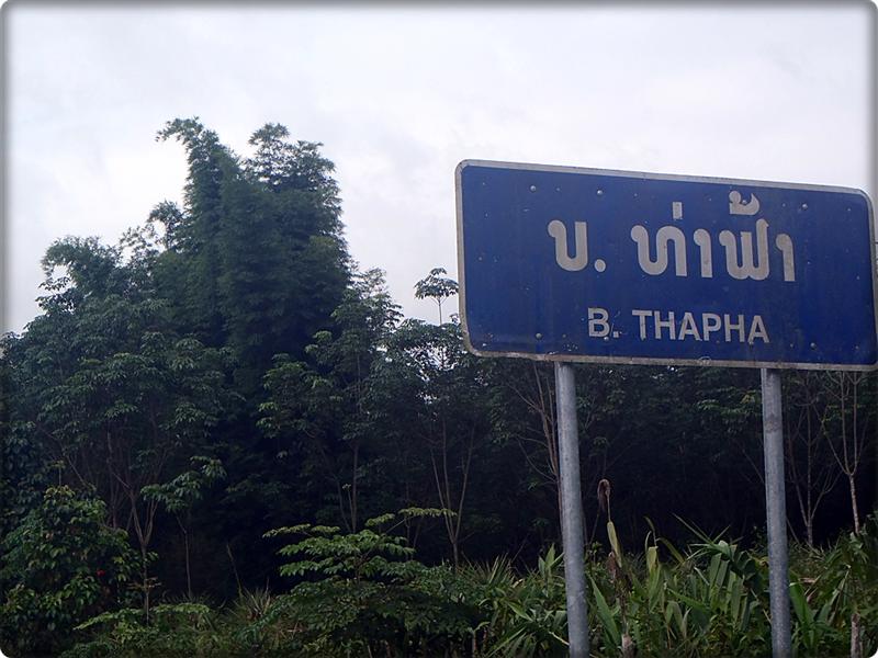 17 (Medium).JPG
