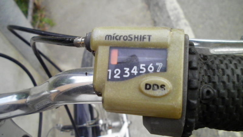SANY3374.jpg