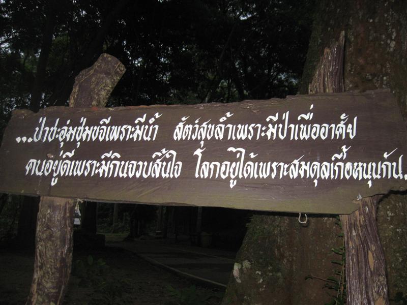 IMG_1504 (Medium).JPG