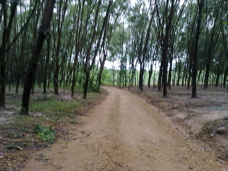 190920121484.jpg