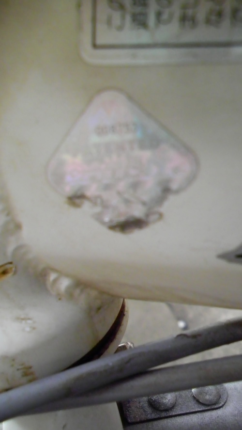 SANY3357.JPG