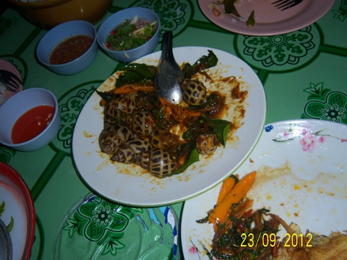 100_6469.JPG