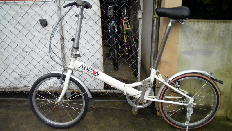 SANY3352.JPG