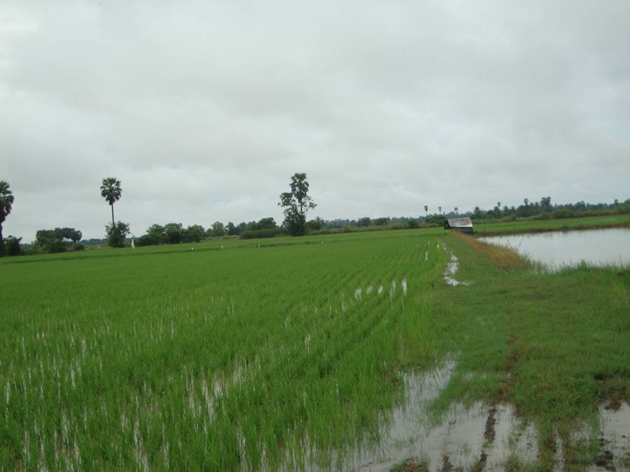 DSC00745.JPG