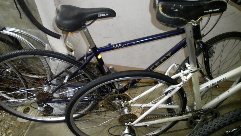 SANY3389.JPG