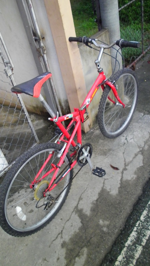 SANY3343.JPG