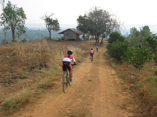 Picture-057-(Small).jpg