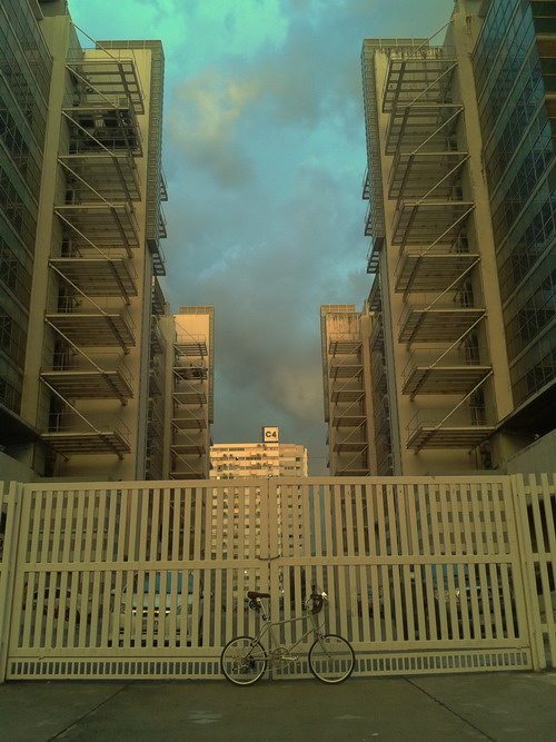 pe01.jpg