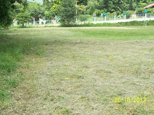 100_6069.JPG