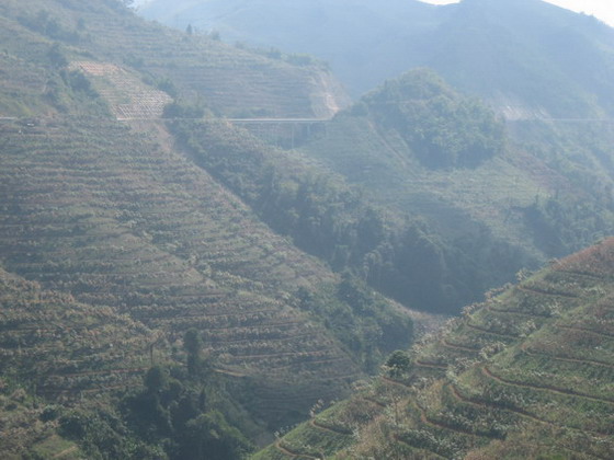 re426.jpg