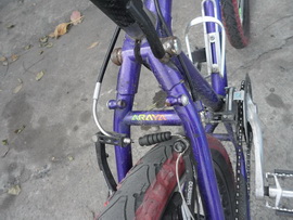 SAM_6150_resize_resize_resize_resize.JPG