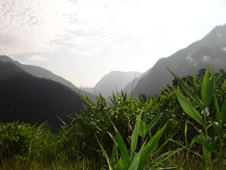 DSC08111.JPG