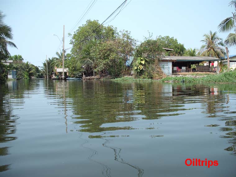 เรือกำลังเลี้ยวขวาเข้าคลองหัวกระบือ ไม่ได้ไปทางซ้ายมือ เพราะเวลาไม่พอสำรวจไกลค่ะ