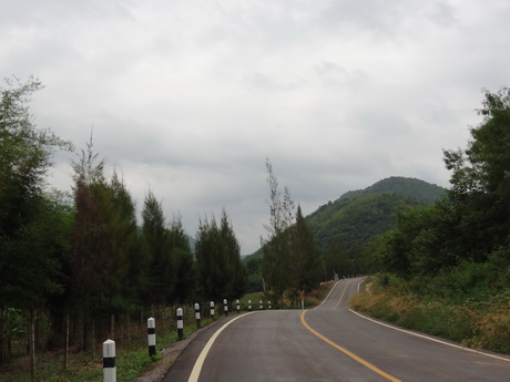 DSC01694A.jpg