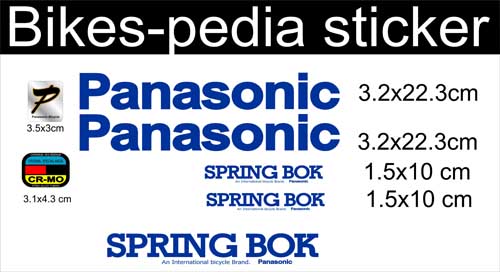 panasonic x copy.jpg