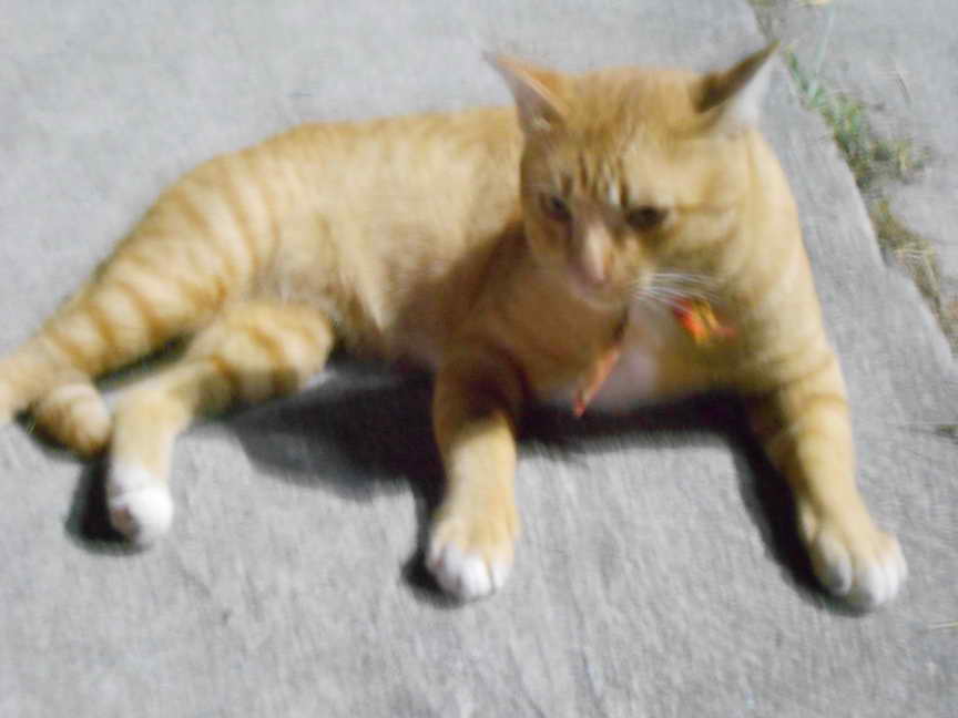 DSCN9420.JPG