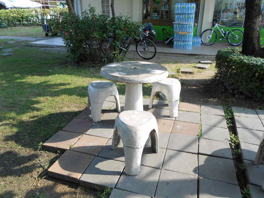 DSCN9561.JPG