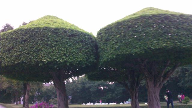 100_0603 (Small).JPG