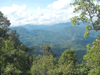 DSCN1001.jpg