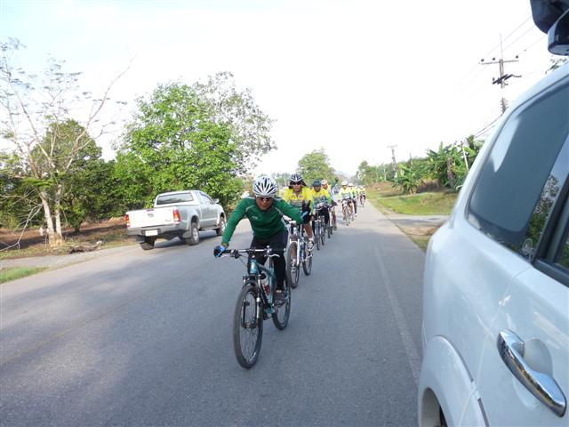 Picture Jang-Bicycle 906 (Small).jpg