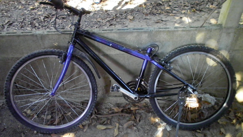SANY0009.JPG