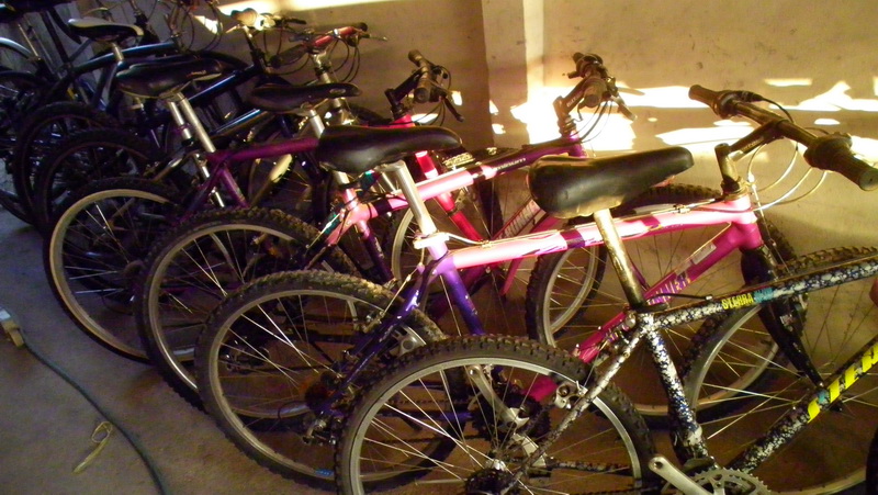 SANY0046.JPG
