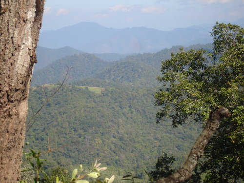 DSC00001.JPG